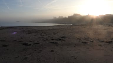 Early morning - early autumn