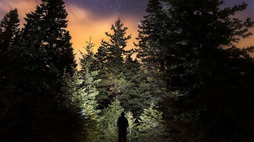 I was out wanting to take a photo of milkyway above snowy landscape, but weather didn't cooperate, it was cloudy where milkyway was...so i did this instead.
Uploaded for a contest #BvSAstro