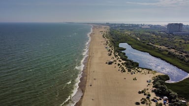 A coastal beach with a river running parallel to the shore, surrounded by greenery and urban buildings.