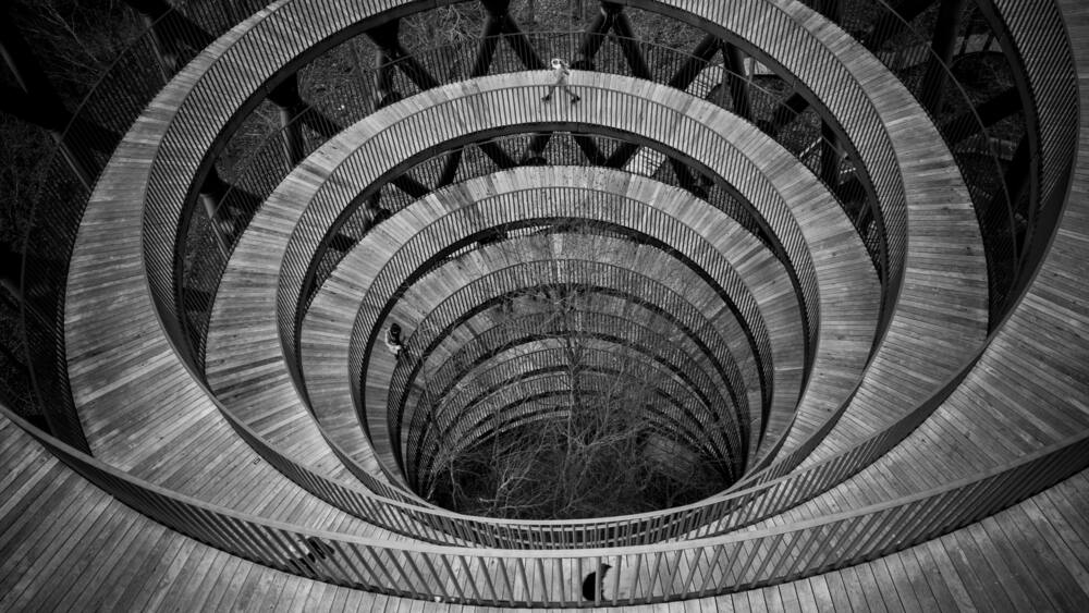 Skovtaarnet/Skovtårnet a abstract spiral staircase into the heights of Rønnede in Denmark