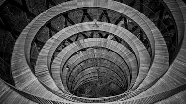 Skovtaarnet/Skovtårnet a abstract spiral staircase into the heights of Rønnede in Denmark