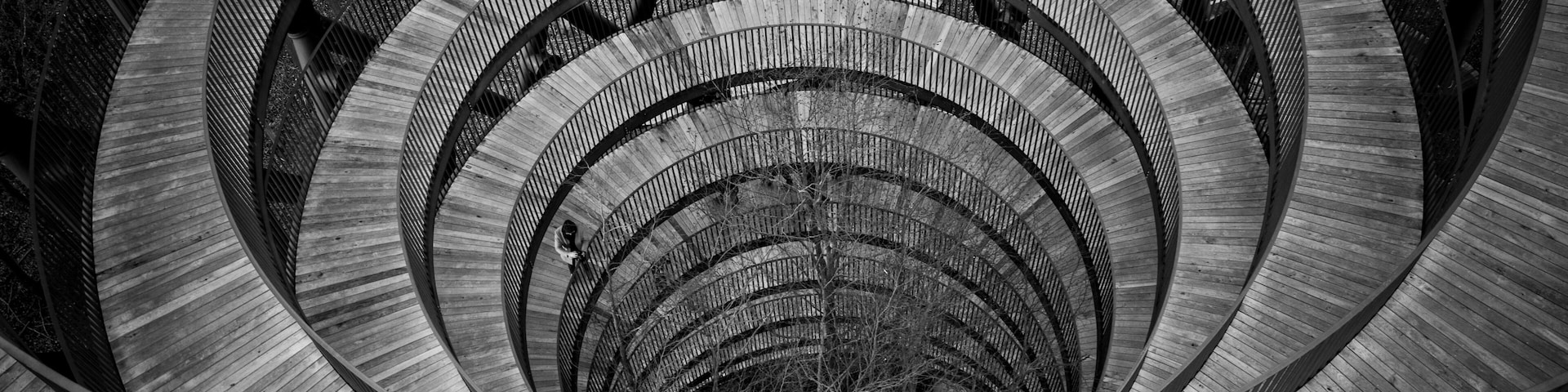 Skovtaarnet/Skovtårnet a abstract spiral staircase into the heights of Rønnede in Denmark