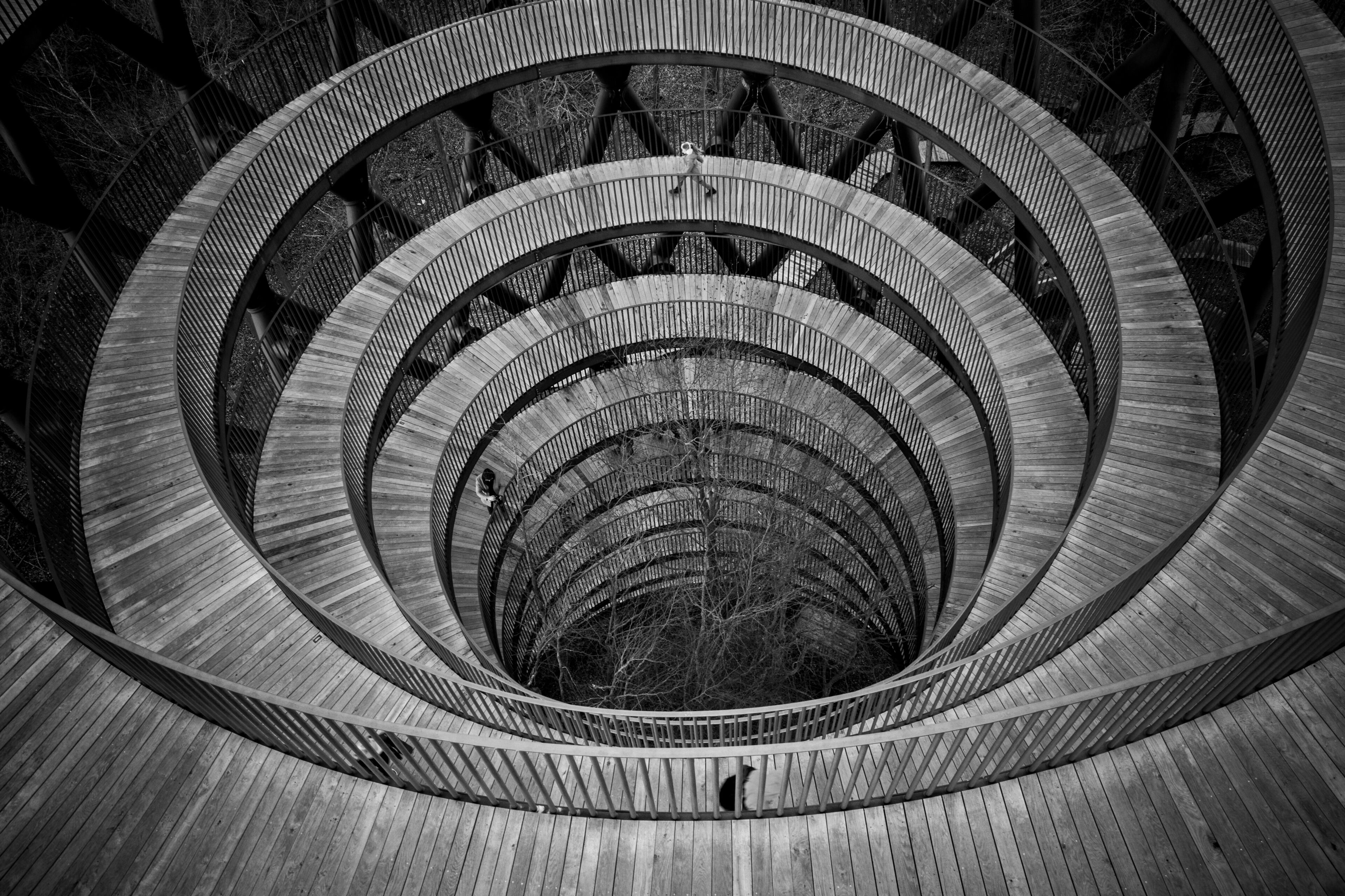 A spiral staircase with a wooden finish and metal railings.