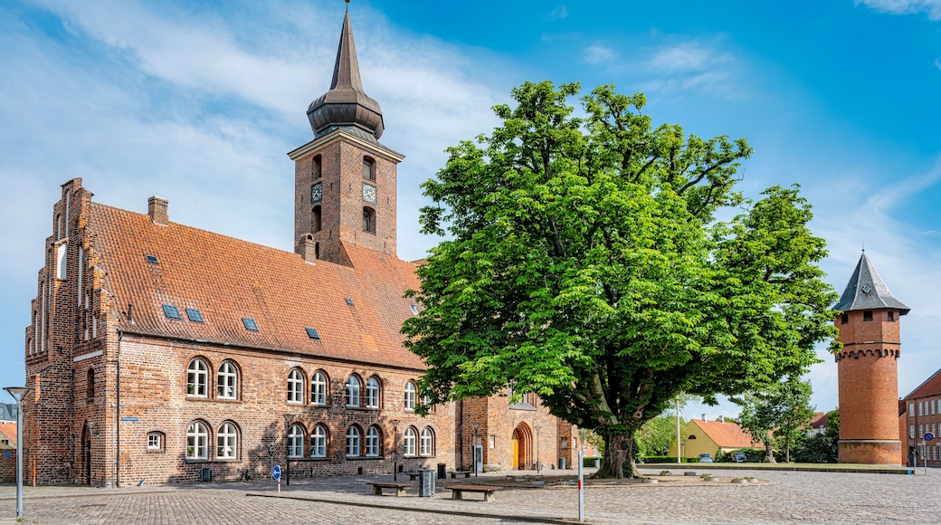 Un bâtiment historique en briques, doté d’une tour horlogée, avec un grand arbre au premier plan et un pavage en pierre.