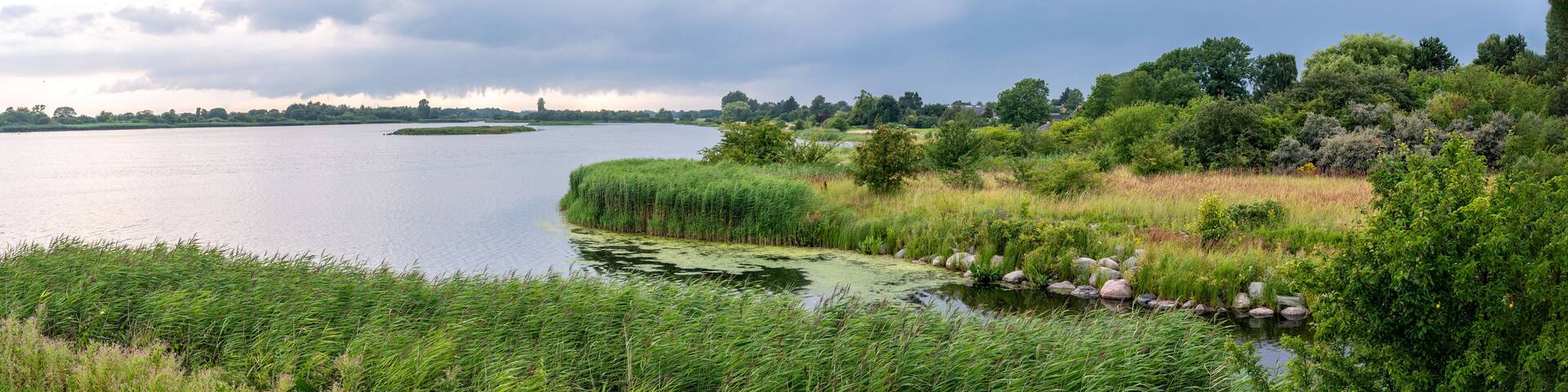 Green landscape and inner water of the Kage bay, Denmark