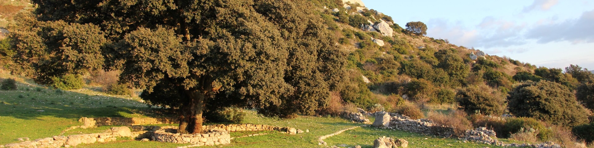 Ossi - Necropoli di Mesu 'e Montes - https://it.wikipedia.org/wiki/Necropoli_di_Mesu_%27e_Montes