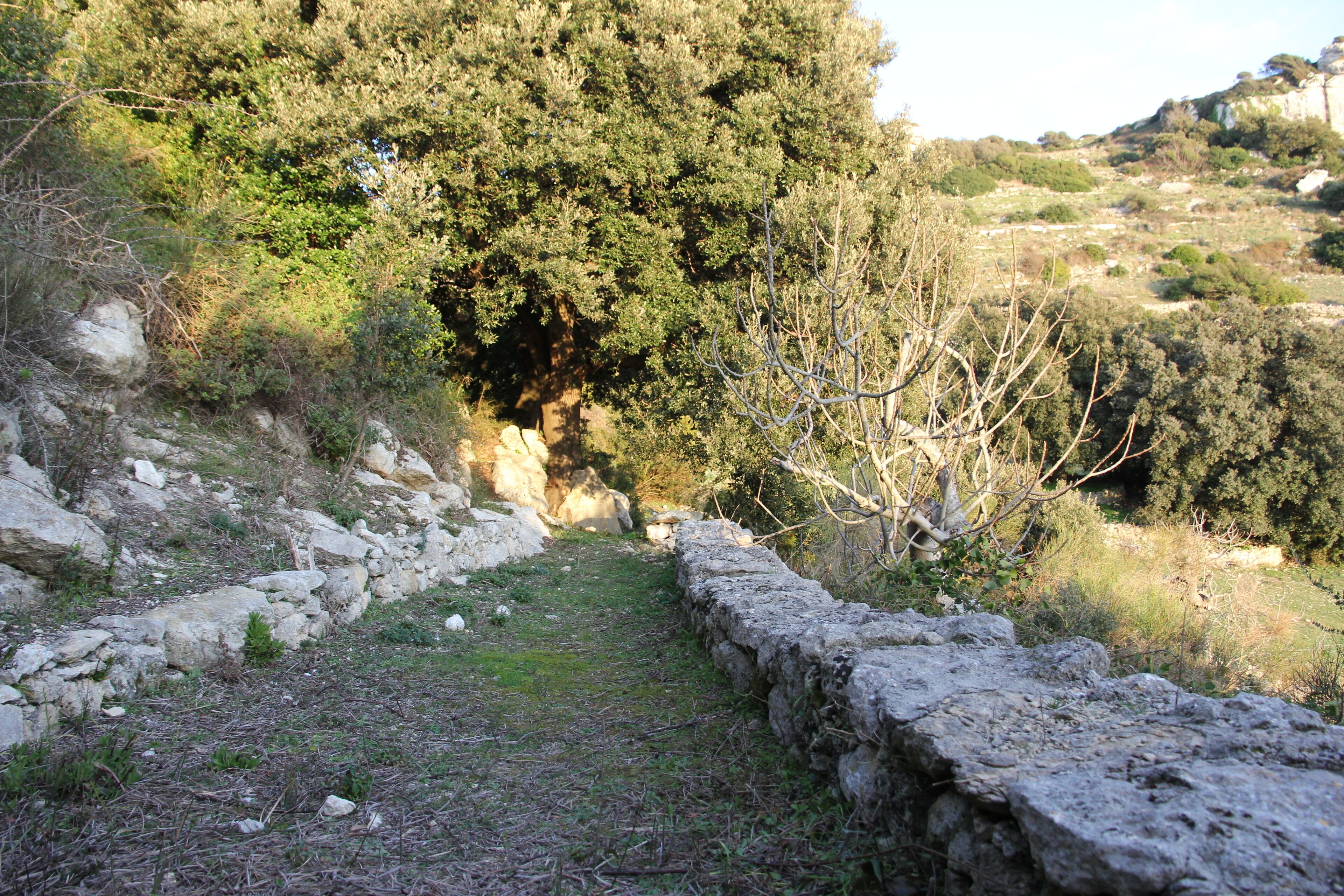 Ossi - Necropoli di Mesu 'e Montes - https://it.wikipedia.org/wiki/Necropoli_di_Mesu_%27e_Montes