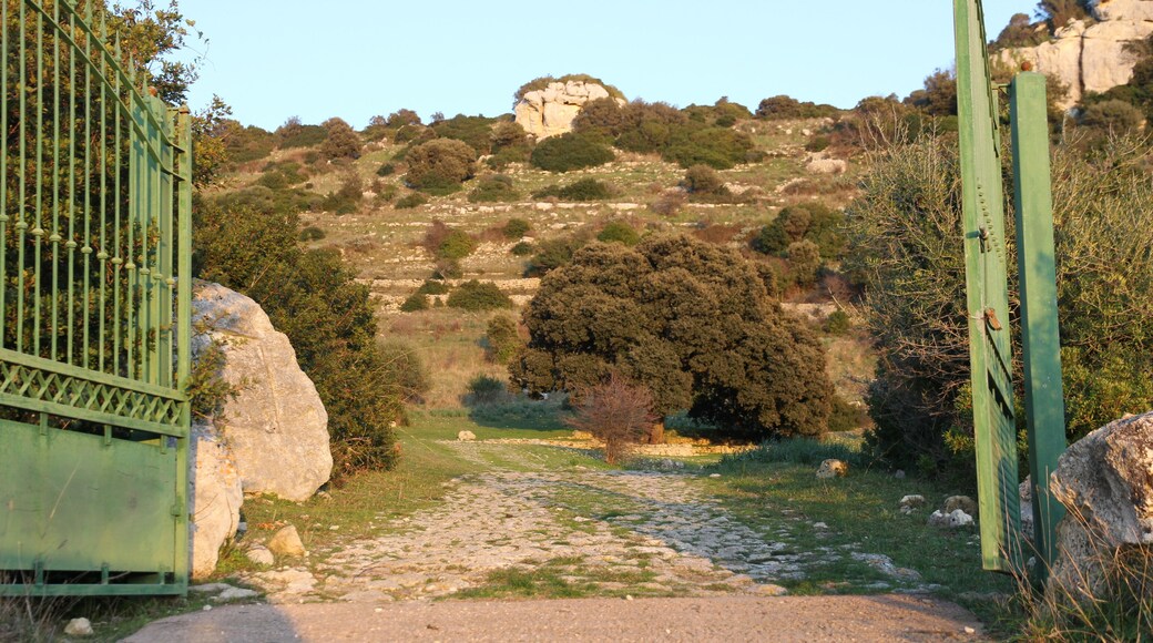 Ossi - Necropoli di Mesu 'e Montes - https://it.wikipedia.org/wiki/Necropoli_di_Mesu_%27e_Montes