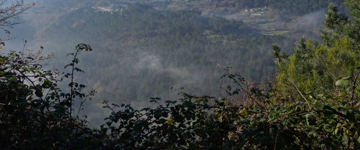 A mountainous landscape with dense forests and a clear sky.