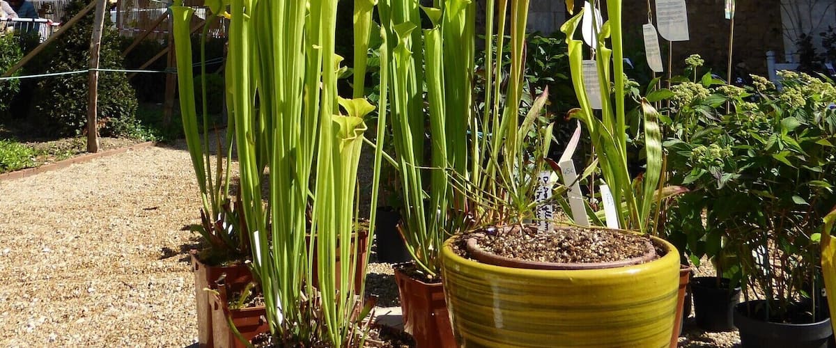Unusually the chateau in this beautiful village sits right on the town square, adding to the spectacular setting, especially during the yearly floralies (flower festival).
