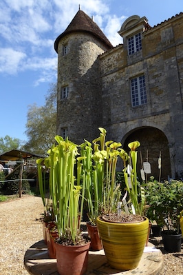 Unusually the chateau in this beautiful village sits right on the town square, adding to the spectacular setting, especially during the yearly floralies (flower festival).