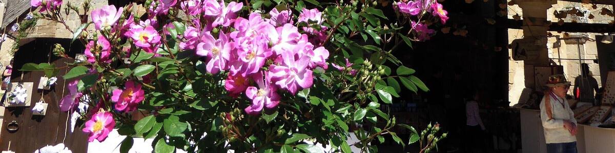 One of the most beautiful villages of France was made even more beautiful during the annual flower festival.
