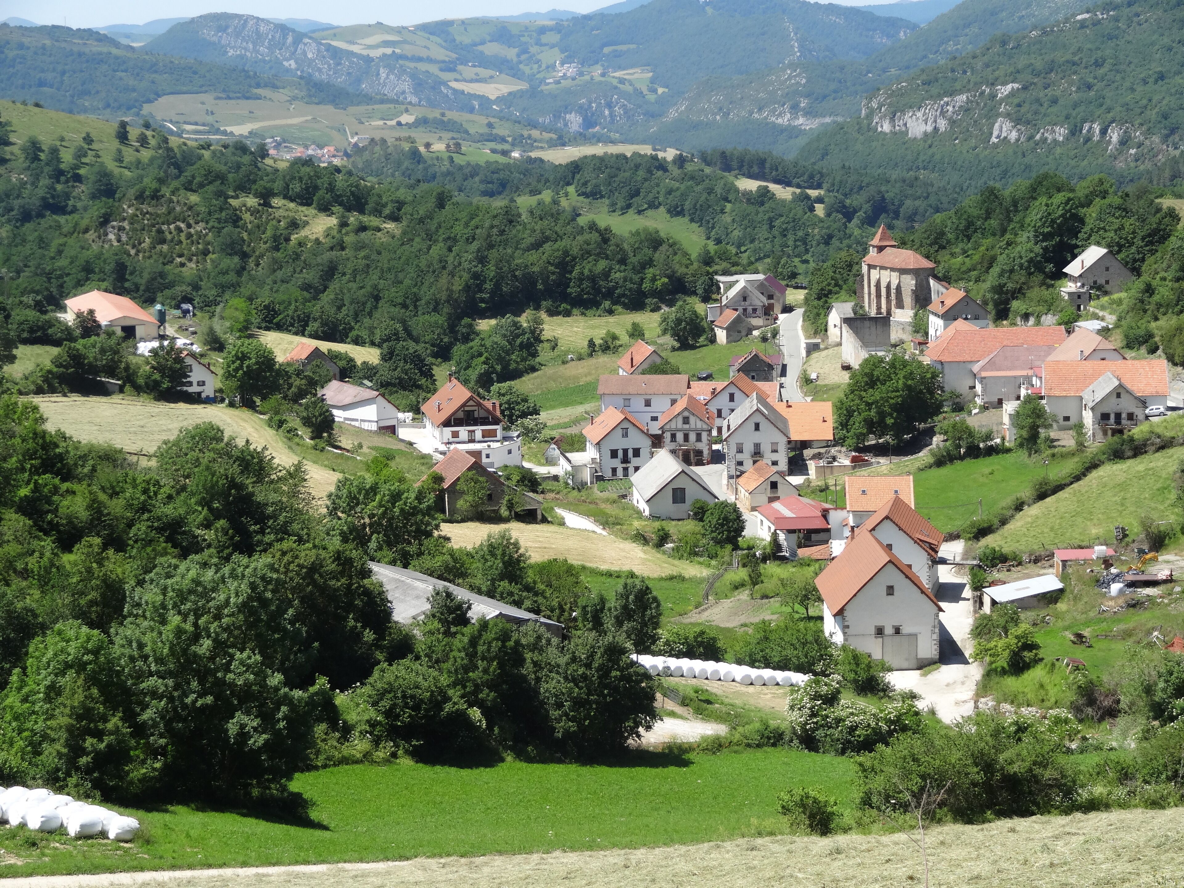 A village with houses surrounded by green fields and mountains in the background.