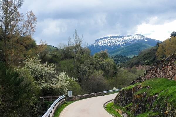 A winding mountain road with a stone wall on one side and a snow-capped mountain in the background.