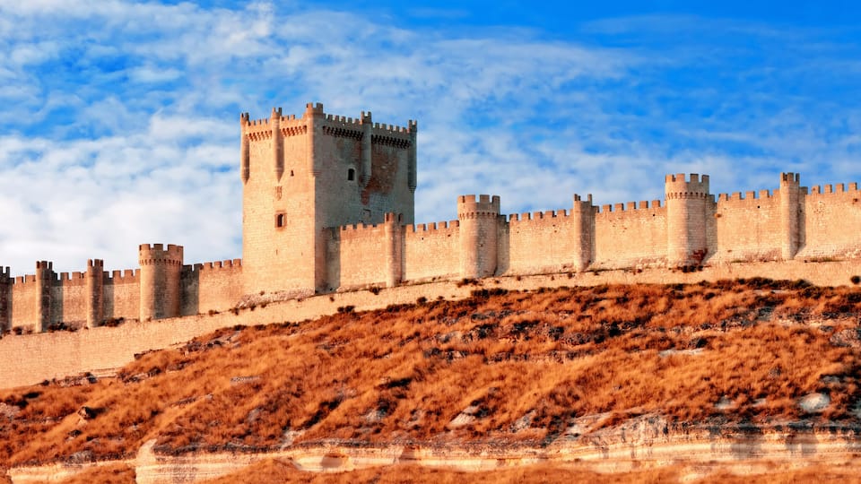 A medieval castle with multiple towers and a surrounding wall, set on a hillside with sparse vegetation.