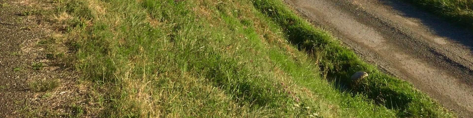 Lovely bike track up the valley from Lourdes. Sporty types can continue over numerous passes made famous by Le Tour.
