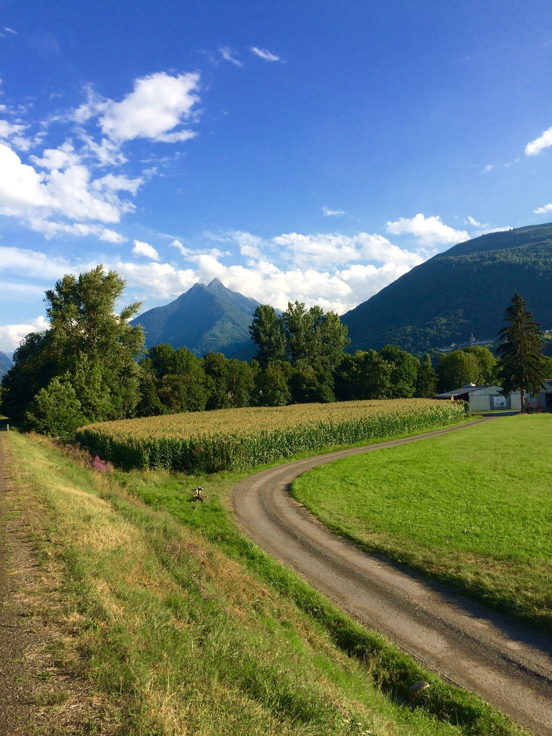 A rural landscape with a winding dirt road, green fields, trees, and a mountain in the background.