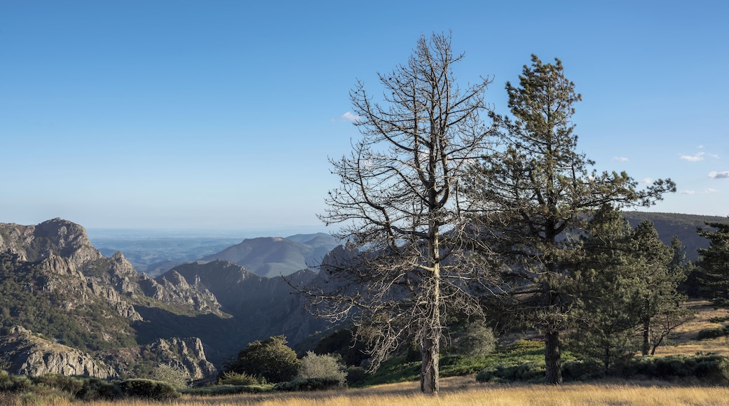 Haut-Languedoc Regional Natural Park, Rosis, Hรฉrault, France