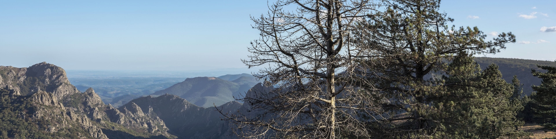 Haut-Languedoc Regional Natural Park, Rosis, Hérault, France