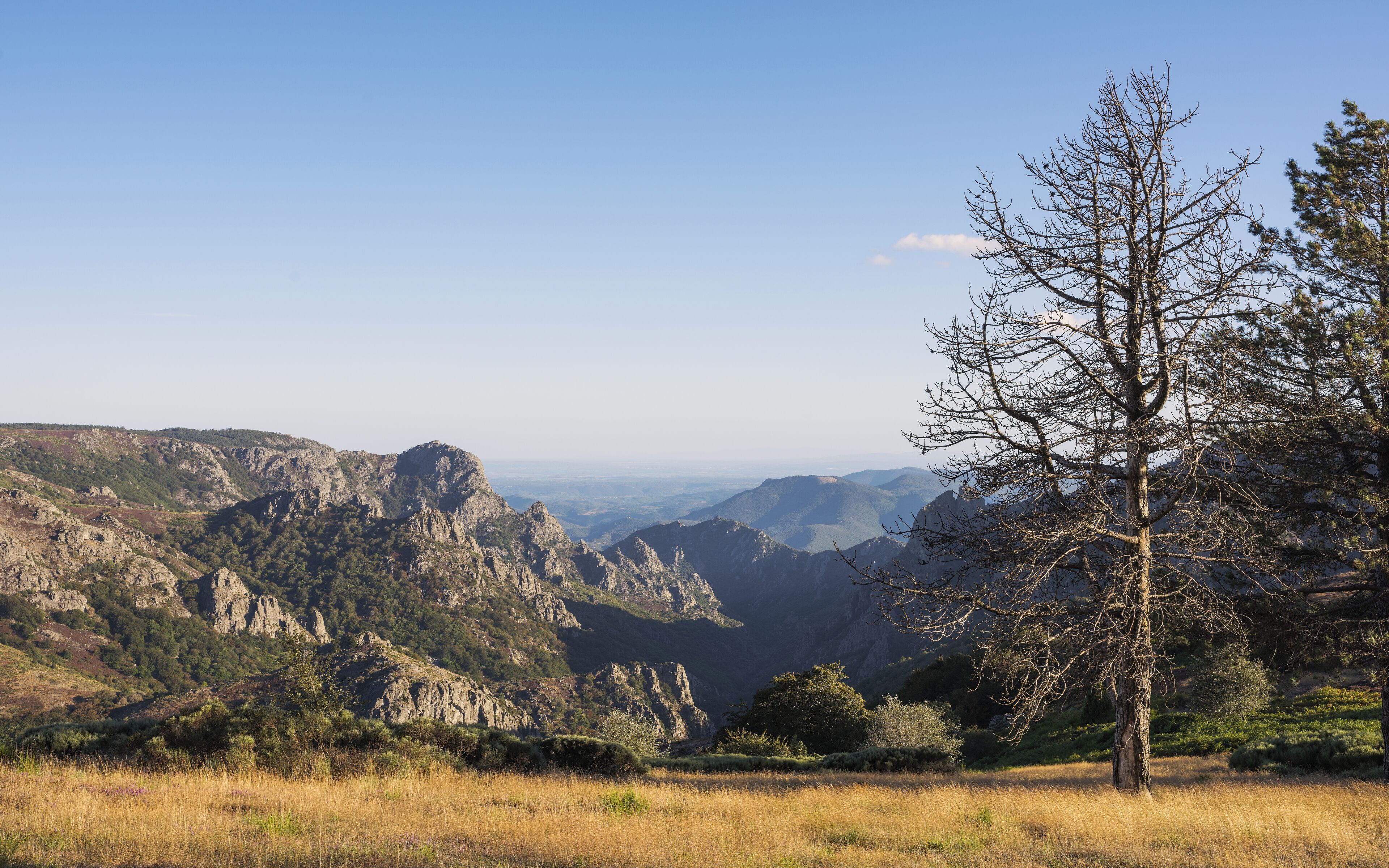 A mountainous landscape with rocky terrain and a prominent tree in the foreground.
