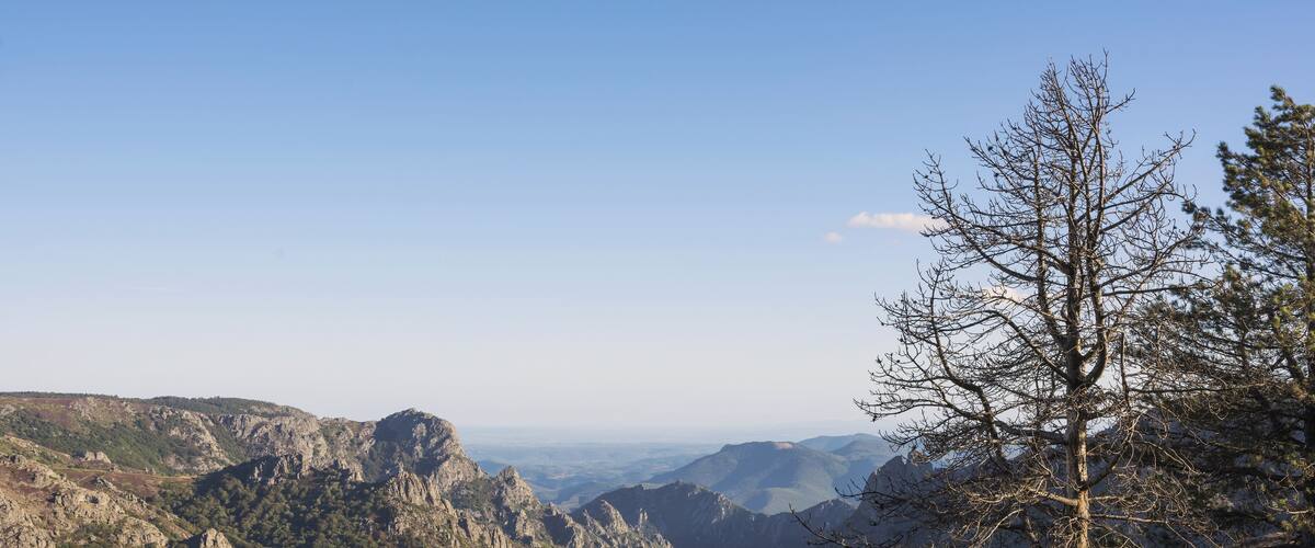 A mountainous landscape with rocky terrain and a prominent tree in the foreground.