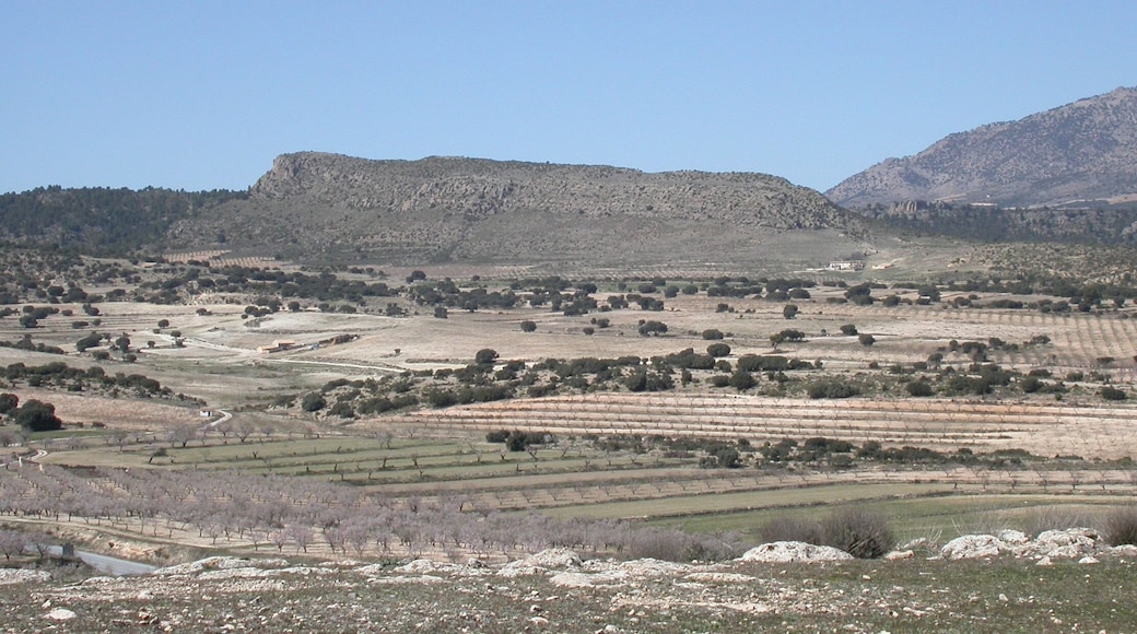 Molata de Casa Vieja (1.445 m) near Almaciles (Spain). This was the place of an important iberian oppidum. SE view.