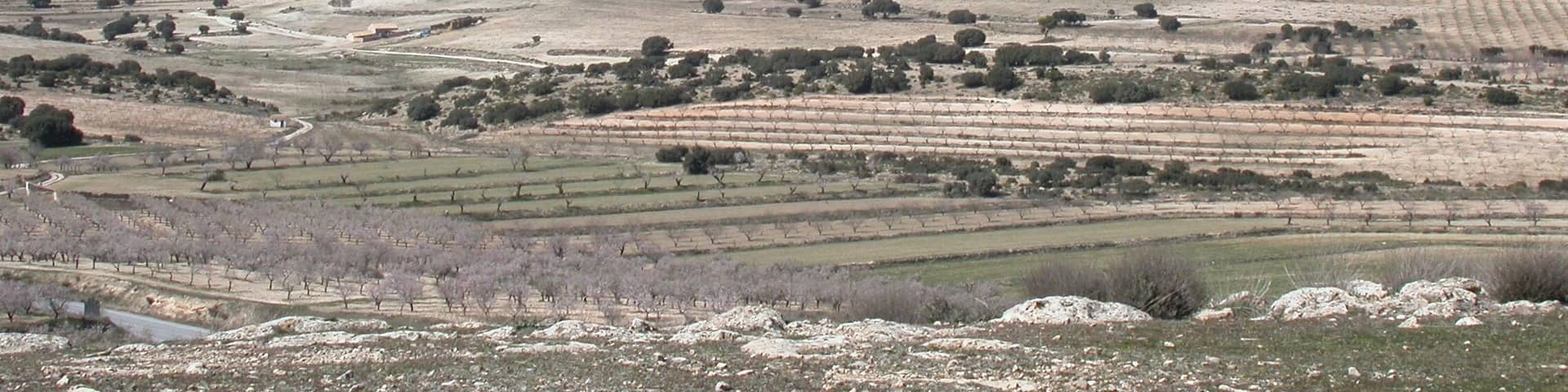 Molata de Casa Vieja (1.445 m) near Almaciles (Spain). This was the place of an important iberian oppidum. SE view.