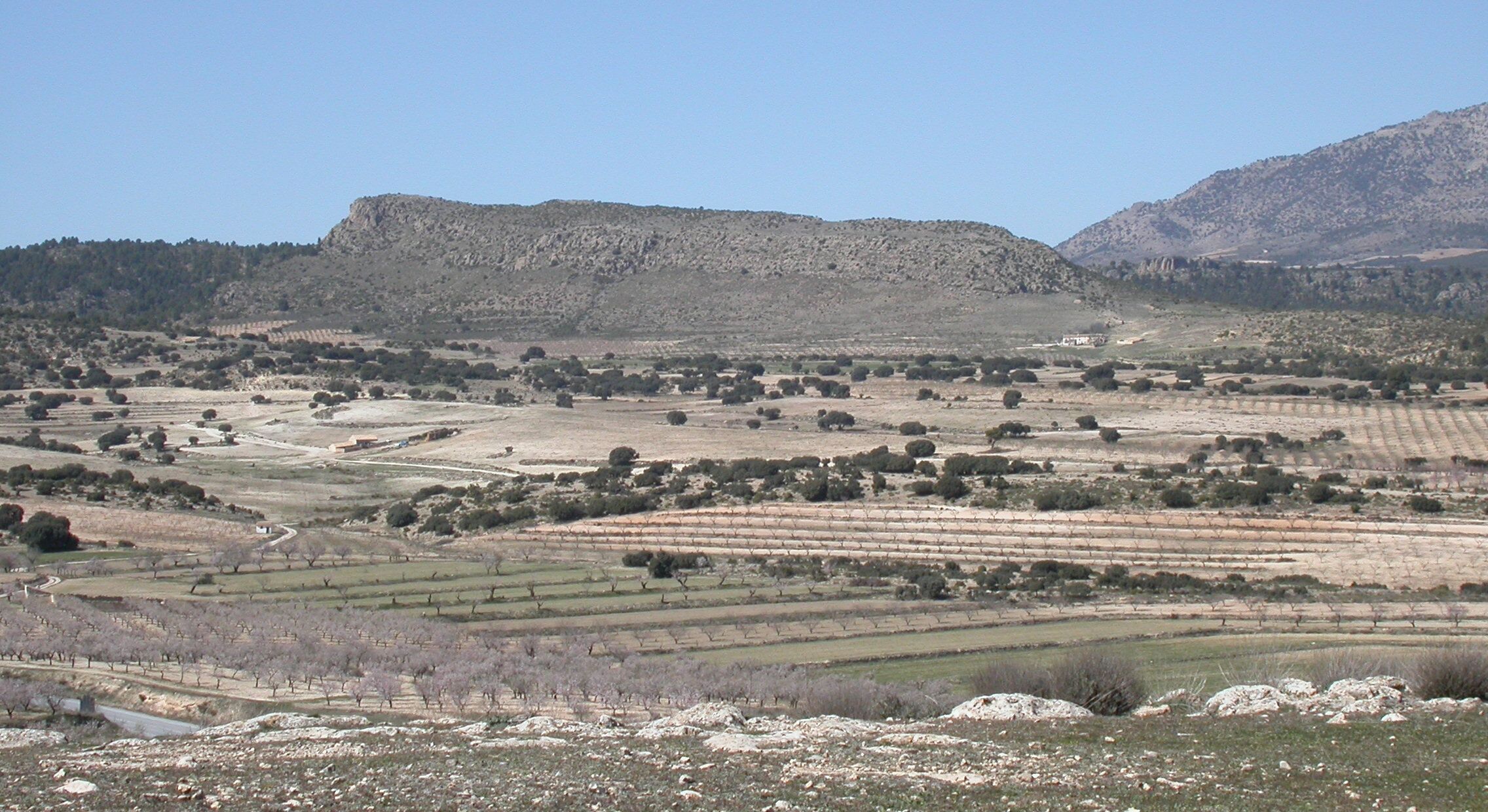 A rural landscape with terraced fields, scattered trees, and mountains in the background.
