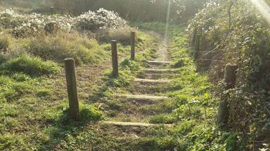 Local little park that has been resurrected from its previous life as a rubbish tip. Perfect for a quick dog walk.