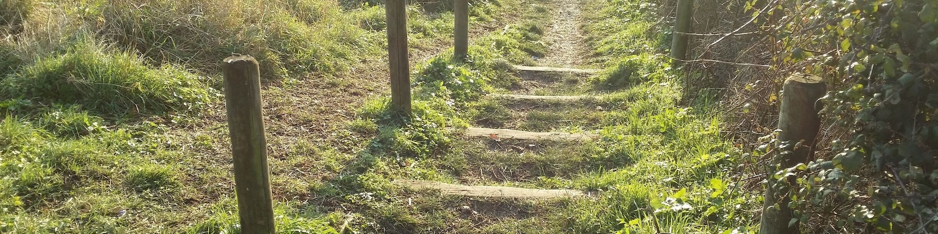 Local little park that has been resurrected from its previous life as a rubbish tip. Perfect for a quick dog walk.