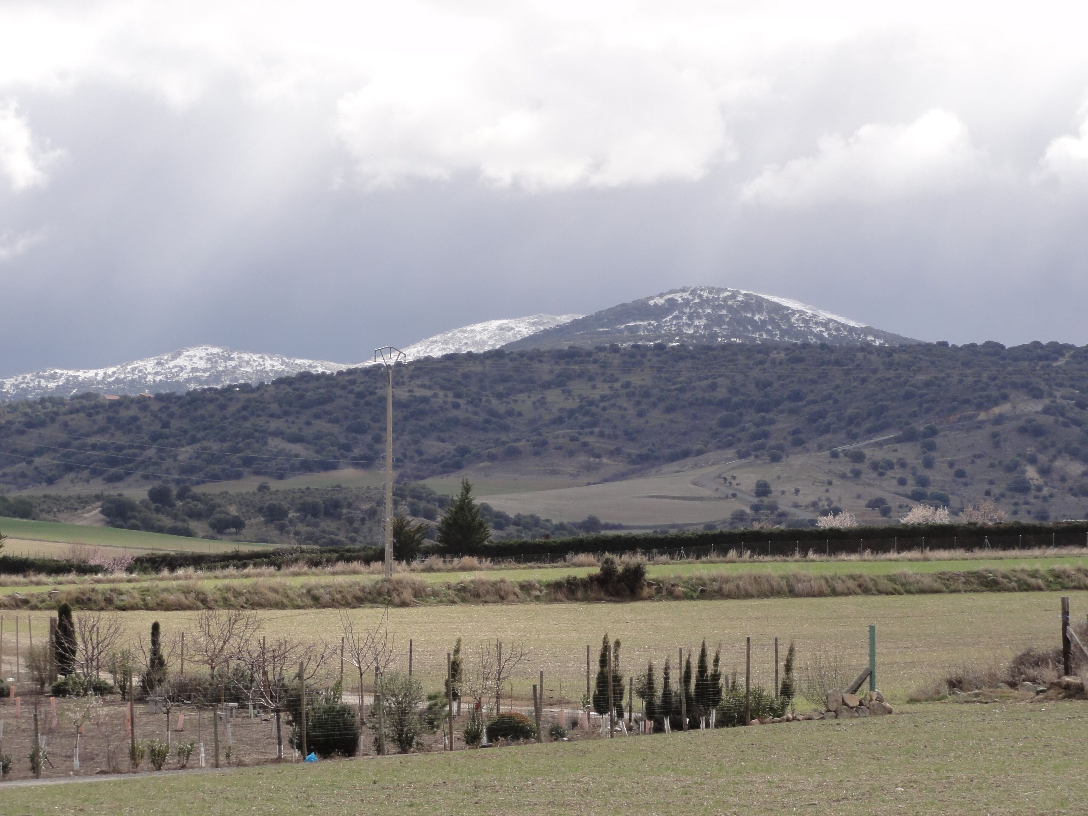 A snow-capped mountain, a grassy field, and a fence.