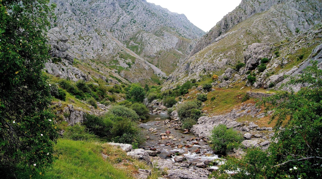 Hoces de Vegacervera - León