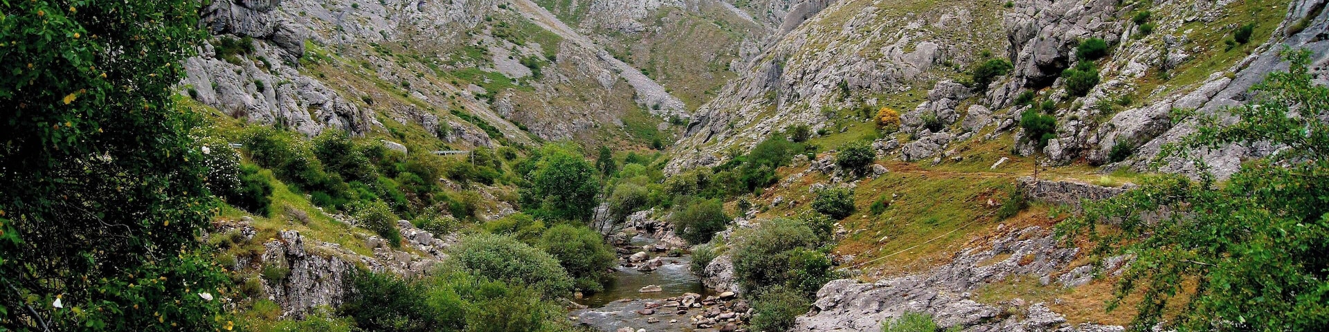 Hoces de Vegacervera - León