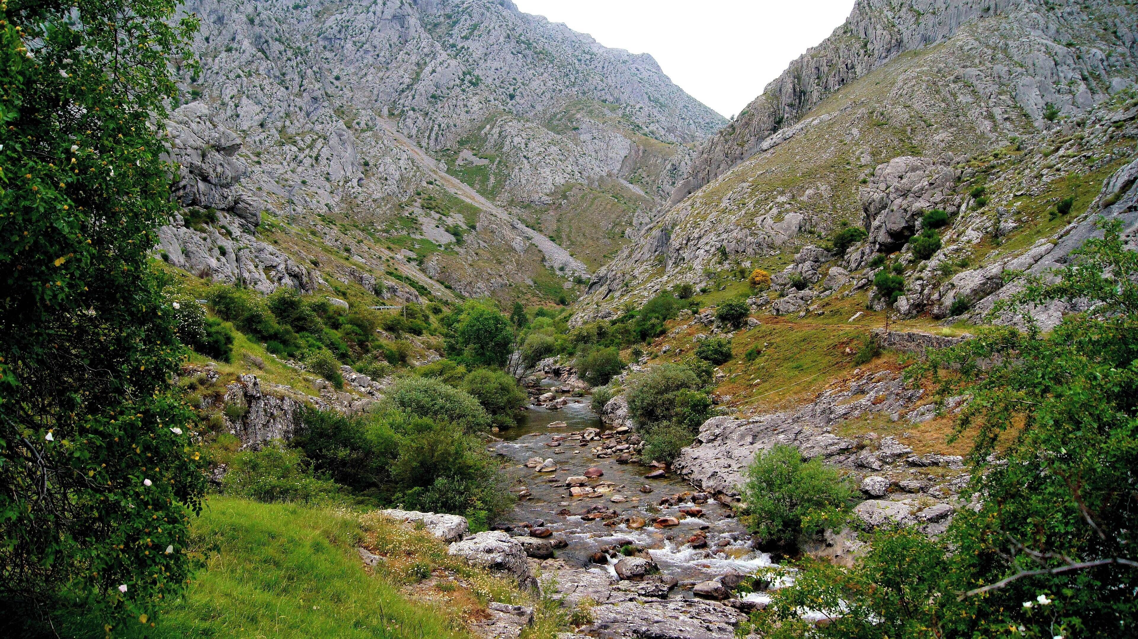 A rocky valley with a flowing stream surrounded by lush greenery and rugged mountains.