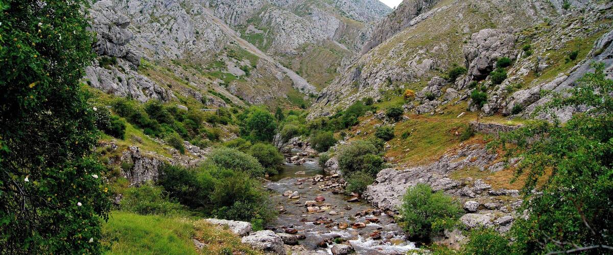 A rocky valley with a flowing stream surrounded by lush greenery and rugged mountains.