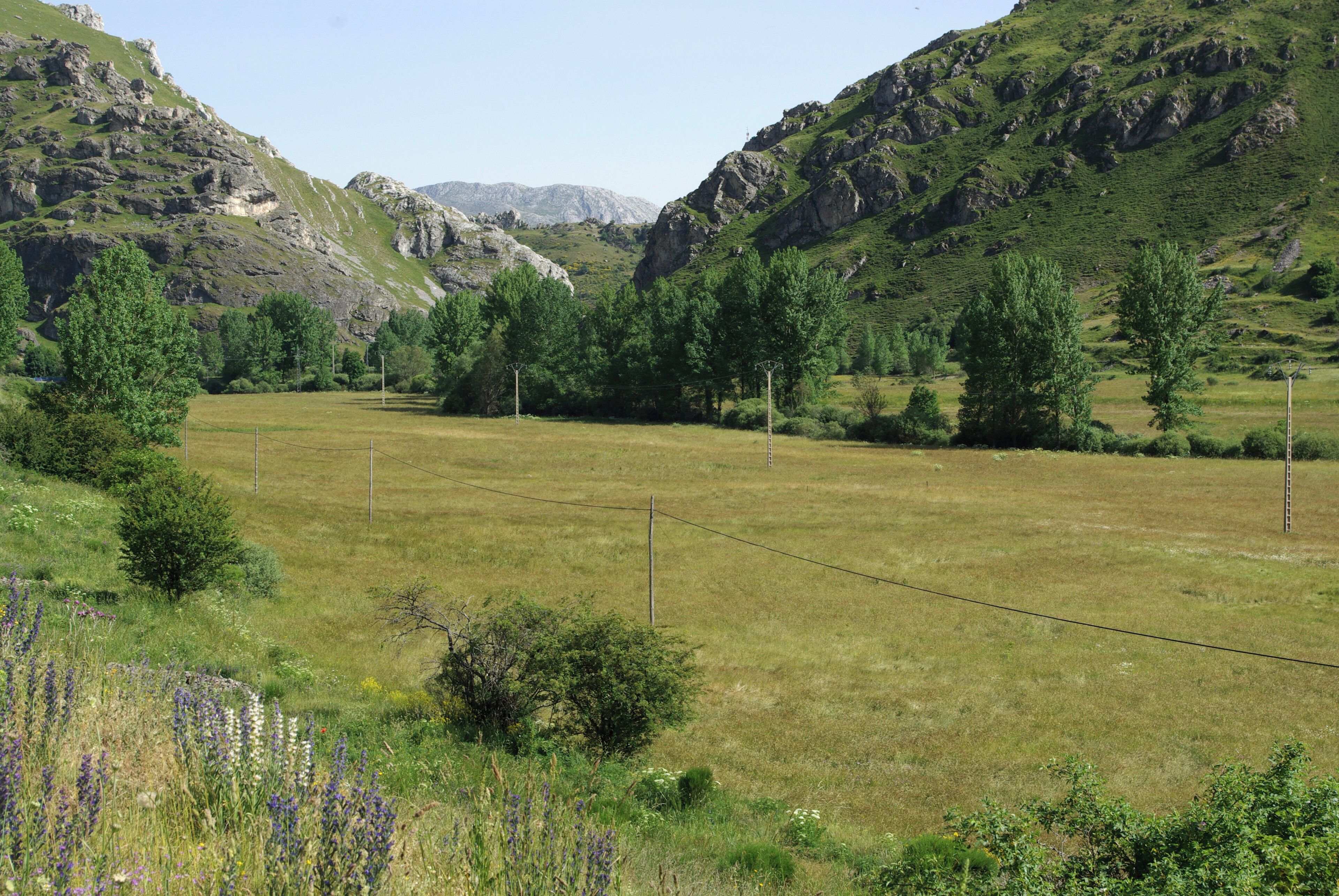 A mountainous landscape with a fenced field, trees, and rocky terrain.