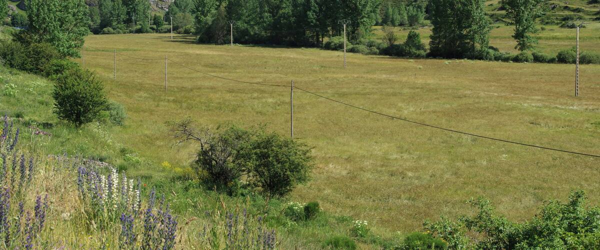 A mountainous landscape with a fenced field, trees, and rocky terrain.