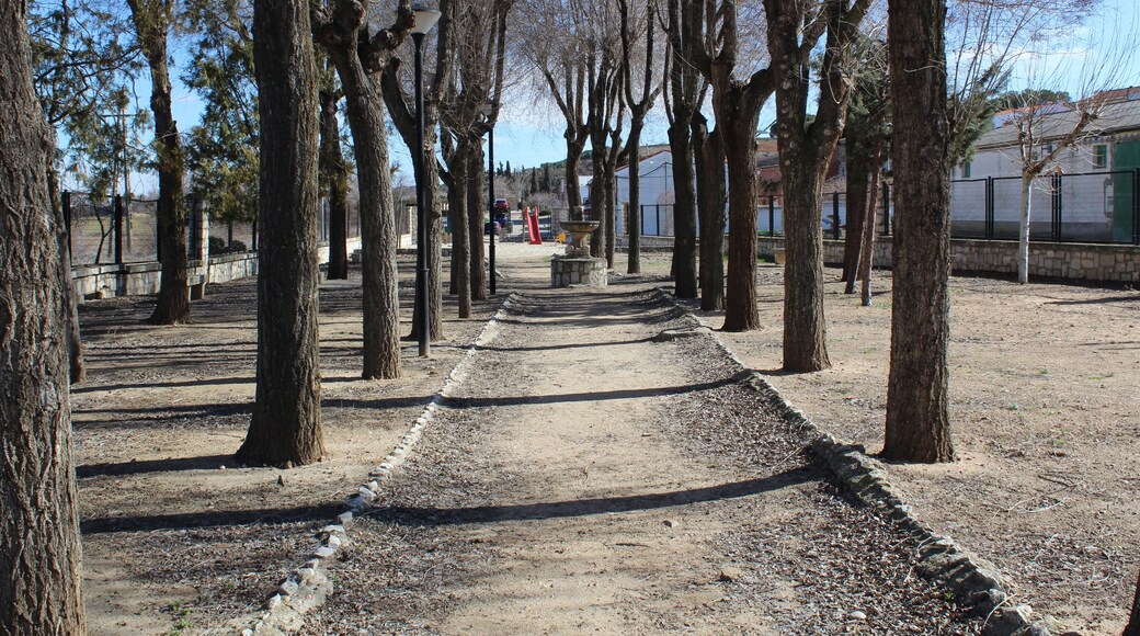 Parque de Pollos, su interior. Situado en la calle Pólvora, en la carretera VA-610, dirección Valladolid.