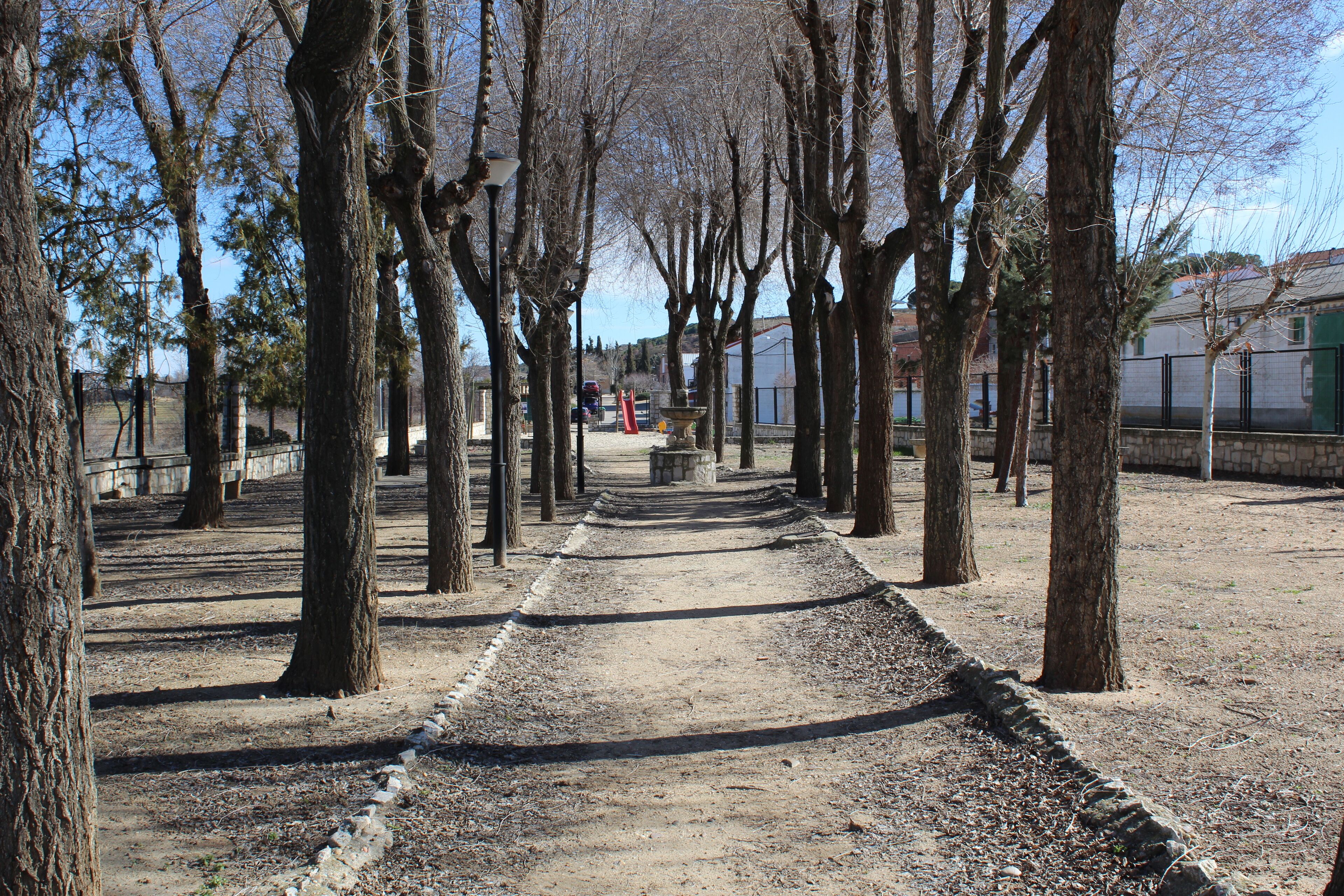 A tree-lined pathway with a stone bench and a red barrier in the distance.