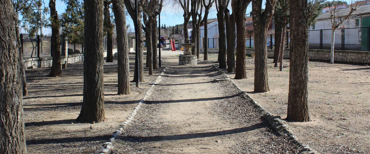 A tree-lined pathway with a stone bench and a red barrier in the distance.