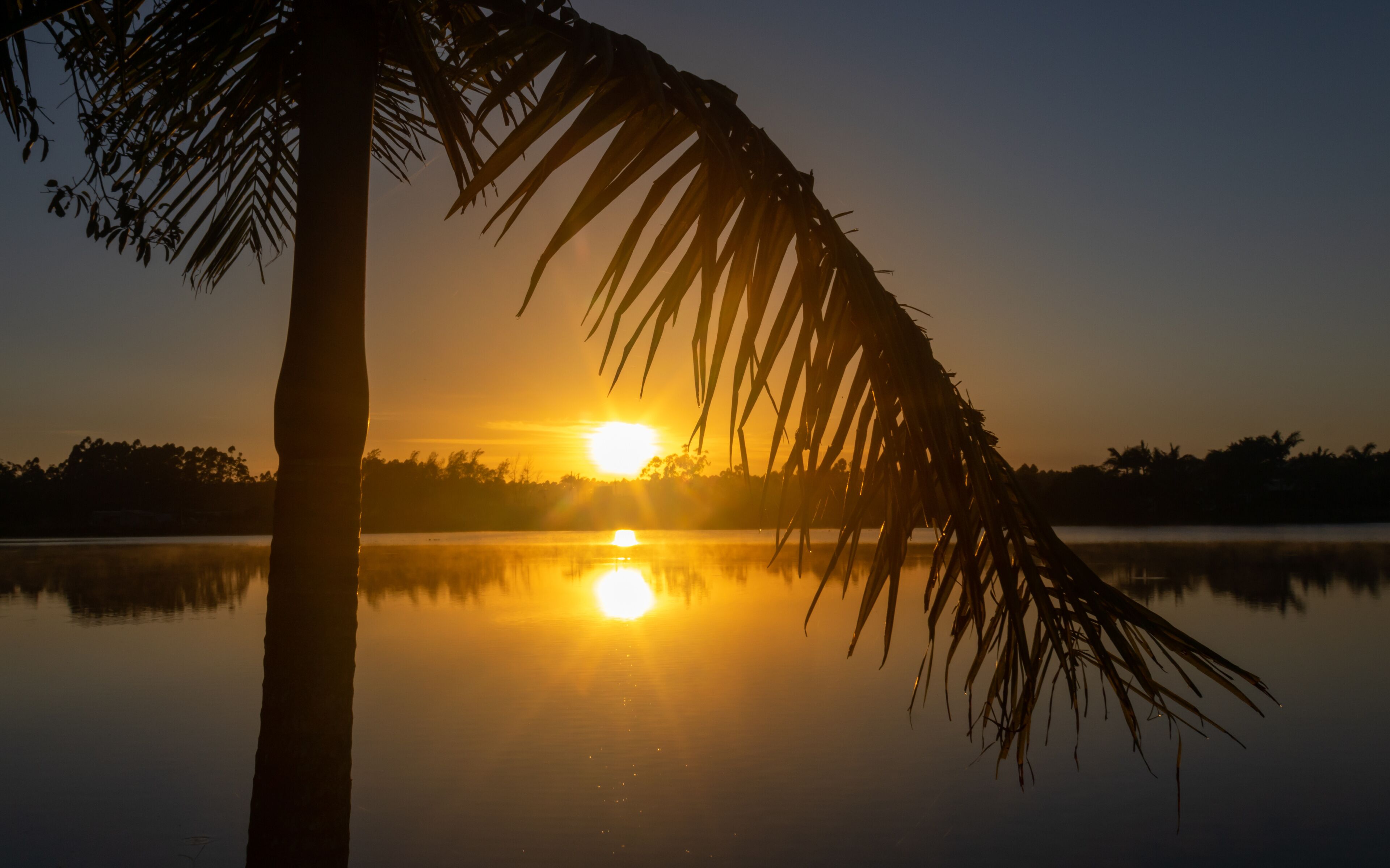 بالنياريو جايفوتا