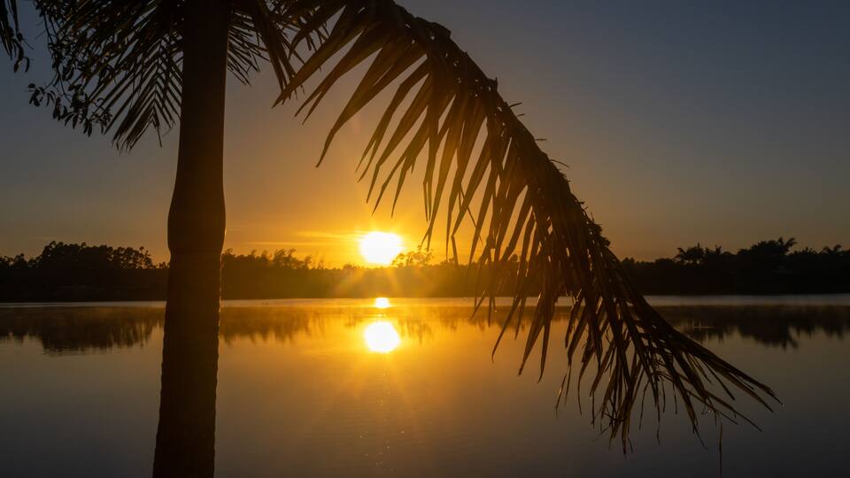 A sunset over a calm lake with a palm tree in the foreground.