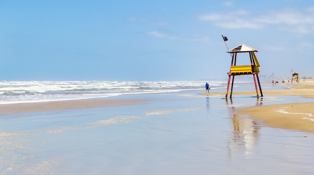 巴内阿里约盖沃塔