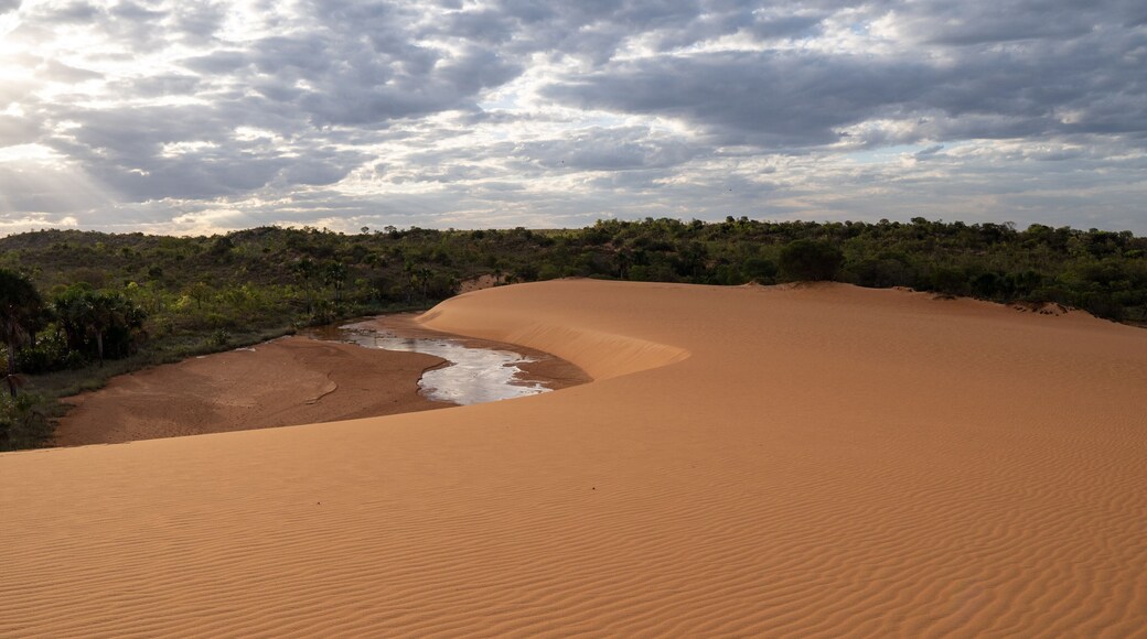 sand dunes in the desert