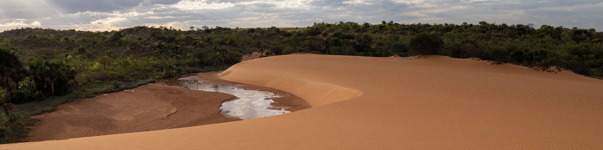 sand dunes in the desert