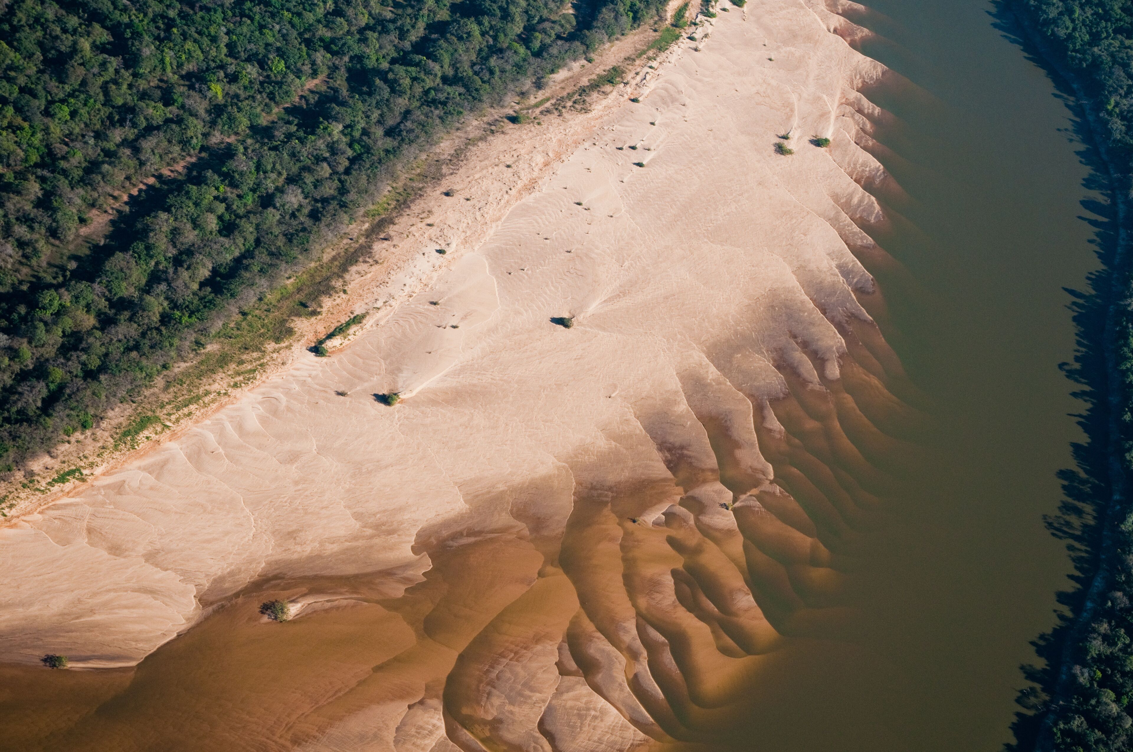An aerial view of a river with sandy banks and a forested area.