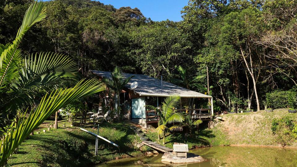 A house surrounded by lush greenery and a small pond.