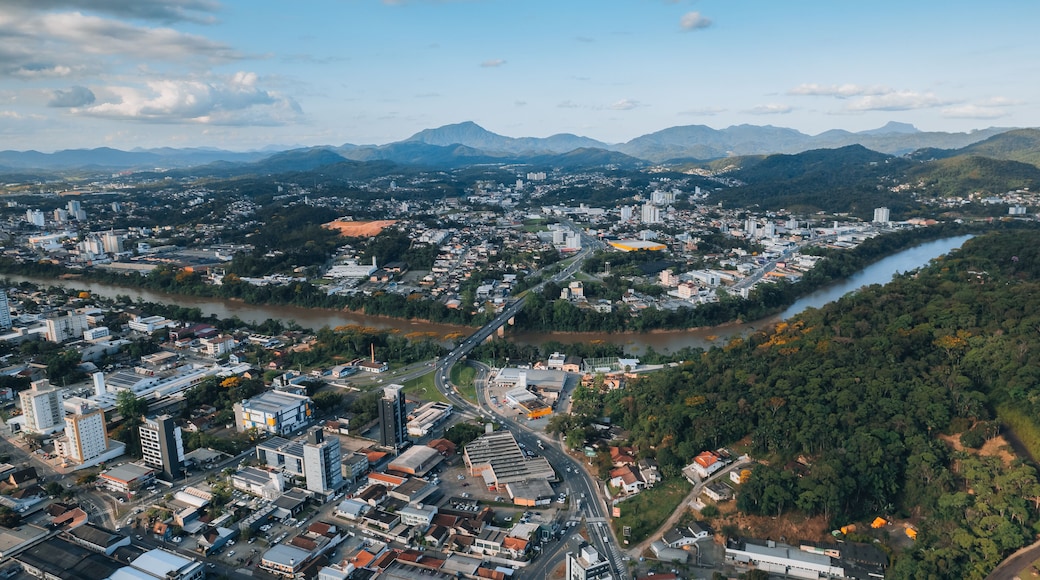 aerial image of downtown Blumenau, with Itajaí Açú River, Santa Catarina, southern Brazil, buildings, main streets, vegetation and sunny day