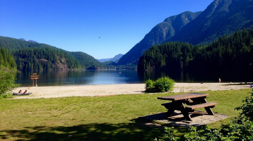 The start of our 9km hike around Buntzen lake. How can you not love this beautiful Nature? #hike #BuntzenLake #BritishColumbia