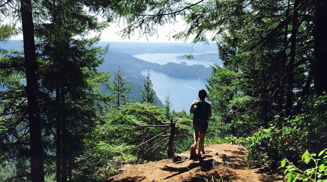 Diez Vistas in Buntzen Lake